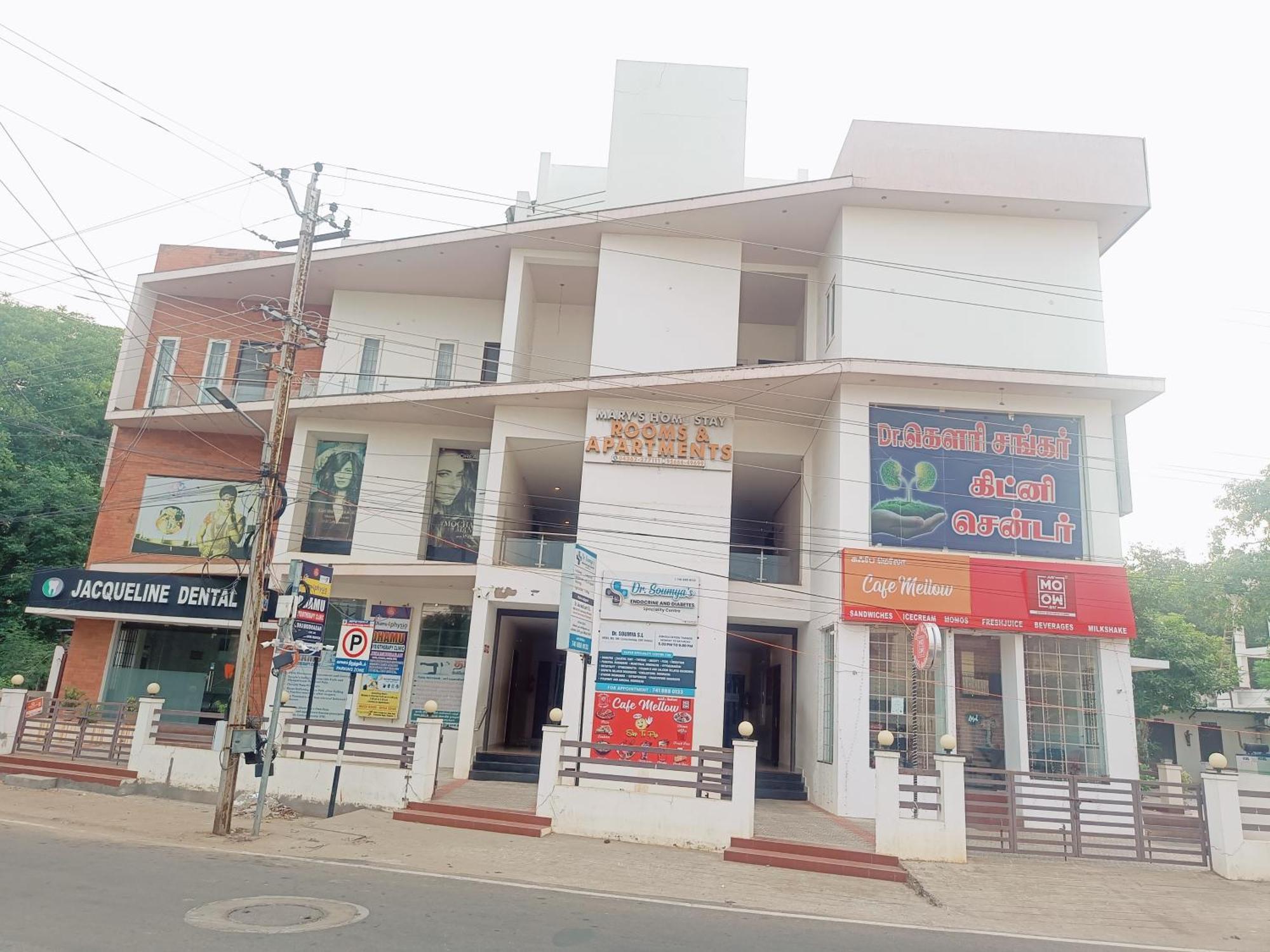 Hotel Marys Arcade ثانجافور المظهر الخارجي الصورة